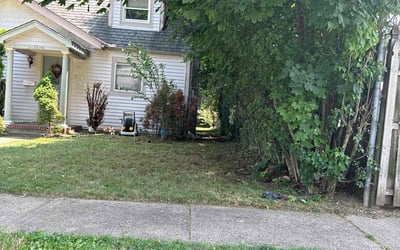 Photo of Richard M.'s yard after getting landscaping in West Harrison, NY