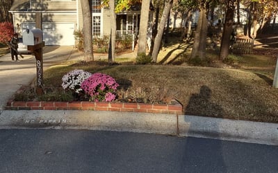 Photo of Mark B.'s yard after getting tree care in Belmont, NC