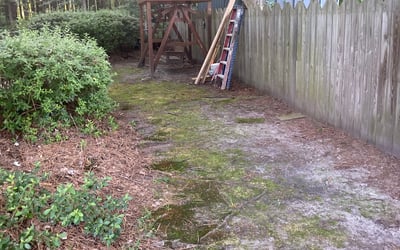 Photo of Nancy H.'s yard after getting tree care in Yorktown, VA