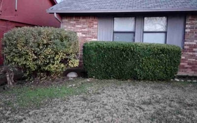 Photo of Jennifer L.'s yard after getting landscaping in Newalla, OK