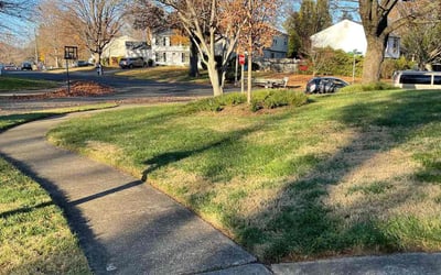Photo of Mike D.'s yard after getting lawn care in Gainesville, VA