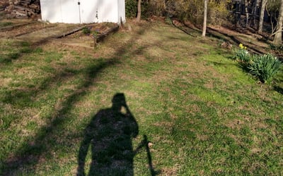 Photo of Jacob S.'s yard after getting landscaping in Ashton, MD
