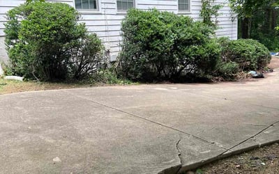 Photo of Ryan F.'s yard after getting landscaping in Sargent, GA