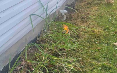 Photo of Nicole N.'s yard after getting landscaping in Shawnee, OH