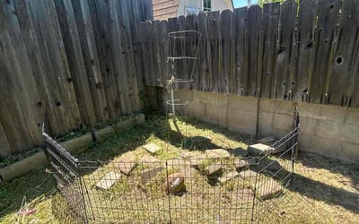 Photo of Karen V.'s yard after getting landscaping in North Highlands, CA