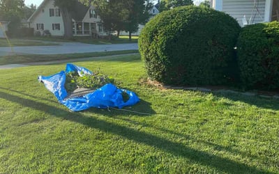 Photo of Kevin R.'s yard after getting tree care in Anderson, IN