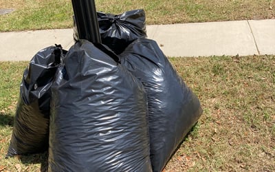 Photo of Jack F.'s yard after getting tree care in Montverde, FL