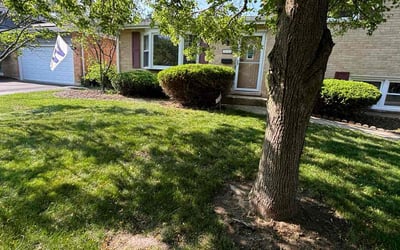 Photo of Nick H.'s yard after getting landscaping in Downers Grove, IL