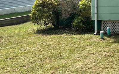 Photo of Dinnah D.'s yard after getting lawn care in Smithtown, NY