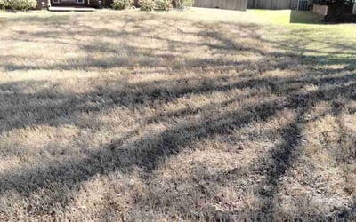 Photo of William D.'s yard after getting landscaping in Coldwater, MS
