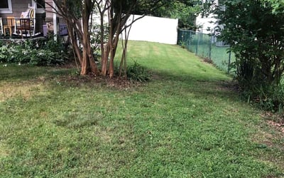Photo of Joshua J.'s yard after getting landscaping in Baltimore, MD