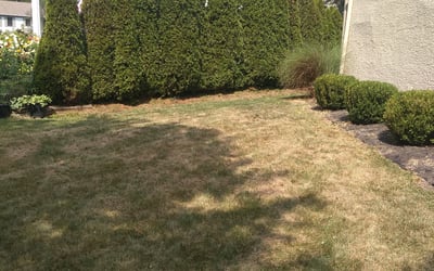 Photo of Jennifer D.'s yard after getting landscaping in Tarlton, OH
