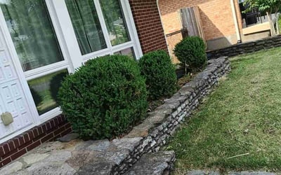 Photo of Josh W.'s yard after getting landscaping in Salem, IN