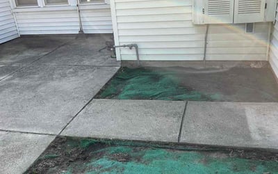 Photo of Lisa J.'s yard after getting landscaping in Livonia, MI