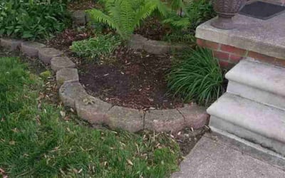 Photo of David R.'s yard after getting landscaping in Grosse Ile, MI