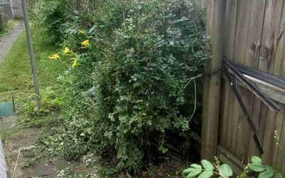 Photo of Ben M.'s yard after getting landscaping in Baltimore, OH