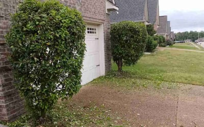 Photo of Stephanie H.'s yard after getting landscaping in Olive Branch, MS