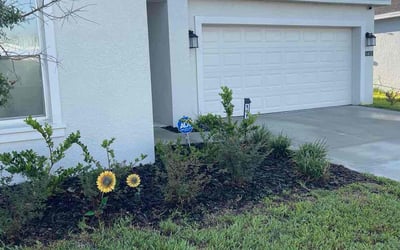 Photo of Daniela T.'s yard after getting tree care in Bartow, FL