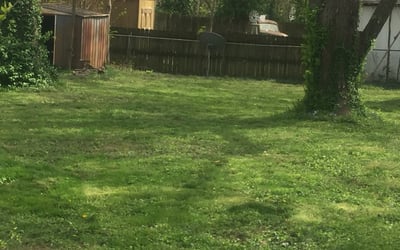 Photo of Christopher S.'s yard after getting landscaping in Rogersville, MO