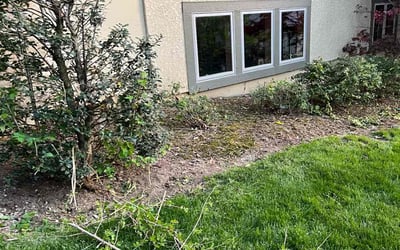 Photo of Linda T.'s yard after getting landscaping in Archie, MO