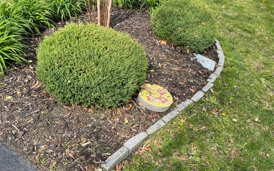 Photo of Jermaine H.'s yard after getting landscaping in Riverdale, MD