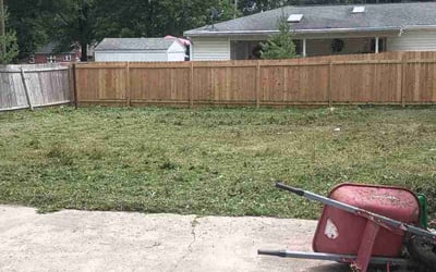 Photo of James R.'s yard after getting landscaping in New Albany, IN