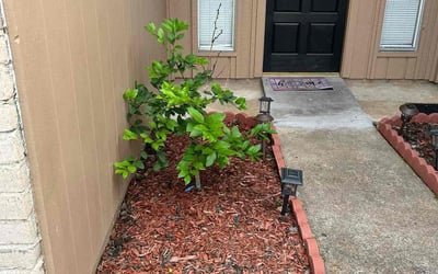 Photo of Lori B.'s yard after getting landscaping in Hull, TX