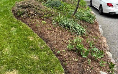 Photo of Matt S.'s yard after getting landscaping in Randolph, NJ
