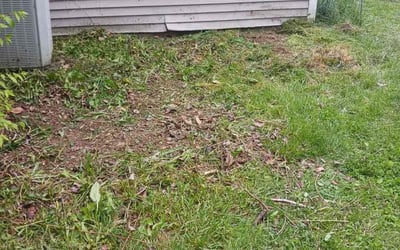 Photo of Stephanie S.'s yard after getting landscaping in De Mossville, KY