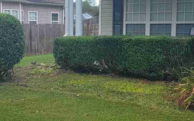 Photo of Gary W.'s yard after getting landscaping in Newnan, GA