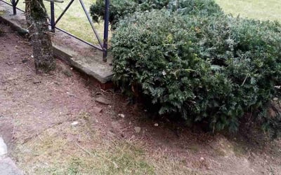 Photo of Eleni K.'s yard after getting landscaping in Canfield, OH
