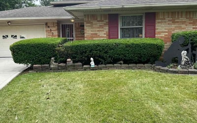 Photo of Briana N.'s yard after getting landscaping in Martinsville, IN