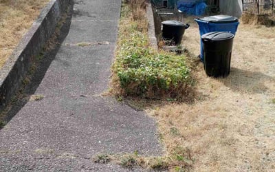 Photo of Justin S.'s yard after getting landscaping in Canby, OR