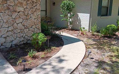 Photo of Mark M.'s yard after getting tree care in Gainesville, FL