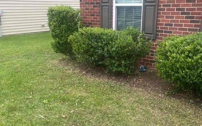 Photo of Kashif R.'s yard after getting landscaping in Havre De Grace, MD