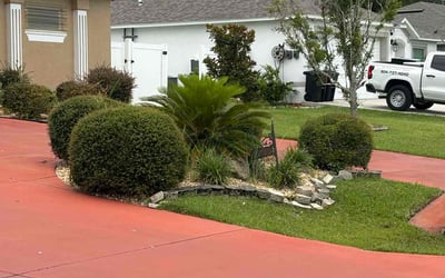 Photo of Cynthia m.'s yard after getting landscaping in Palm Coast, FL