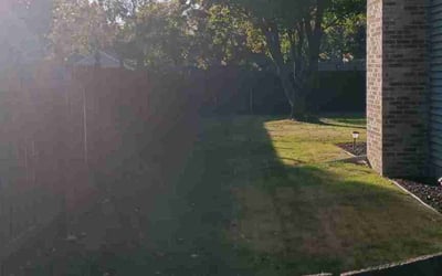 Photo of Megan H.'s yard after getting lawn care in Champlin, MN