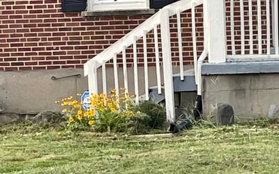 Photo of Stephen U.'s yard after getting landscaping in Seven Mile, OH