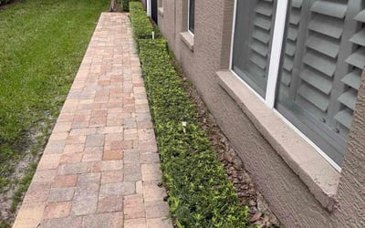 Photo of Leana S.'s yard after getting tree care in Wesley Chapel, FL