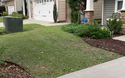 Photo of Gerald L.'s yard after getting lawn care in West Columbia, SC