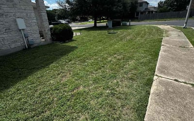 Photo of Elizabeth H.'s yard after getting landscaping in Leander, TX