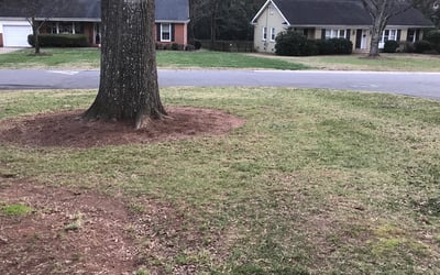 Photo of Martha C.'s yard after getting landscaping in Mount Mourne, NC
