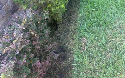 Photo of Lauren A.'s yard after getting tree care in Stuart, FL