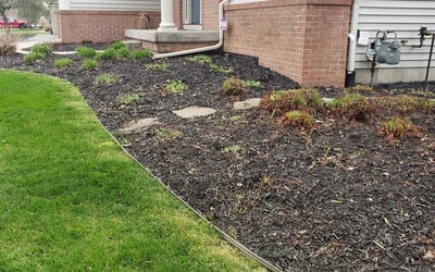 Photo of Alexa D.'s yard after getting landscaping in Jenison, MI
