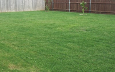 Photo of Anthony M.'s yard after getting landscaping in Peaster, TX