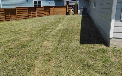 Photo of Patrick A.'s yard after getting landscaping in Spicewood, TX