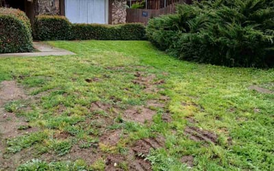 Photo of Sean C.'s yard after getting landscaping in Ramona, CA