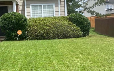 Photo of Donald F.'s yard after getting tree care in Buford, GA