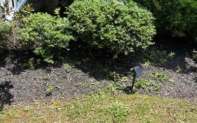 Photo of Jeff D.'s yard after getting landscaping in Cary, NC