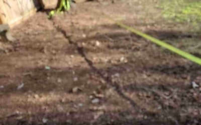 Photo of Michael B.'s yard after getting landscaping in Carthage, TN